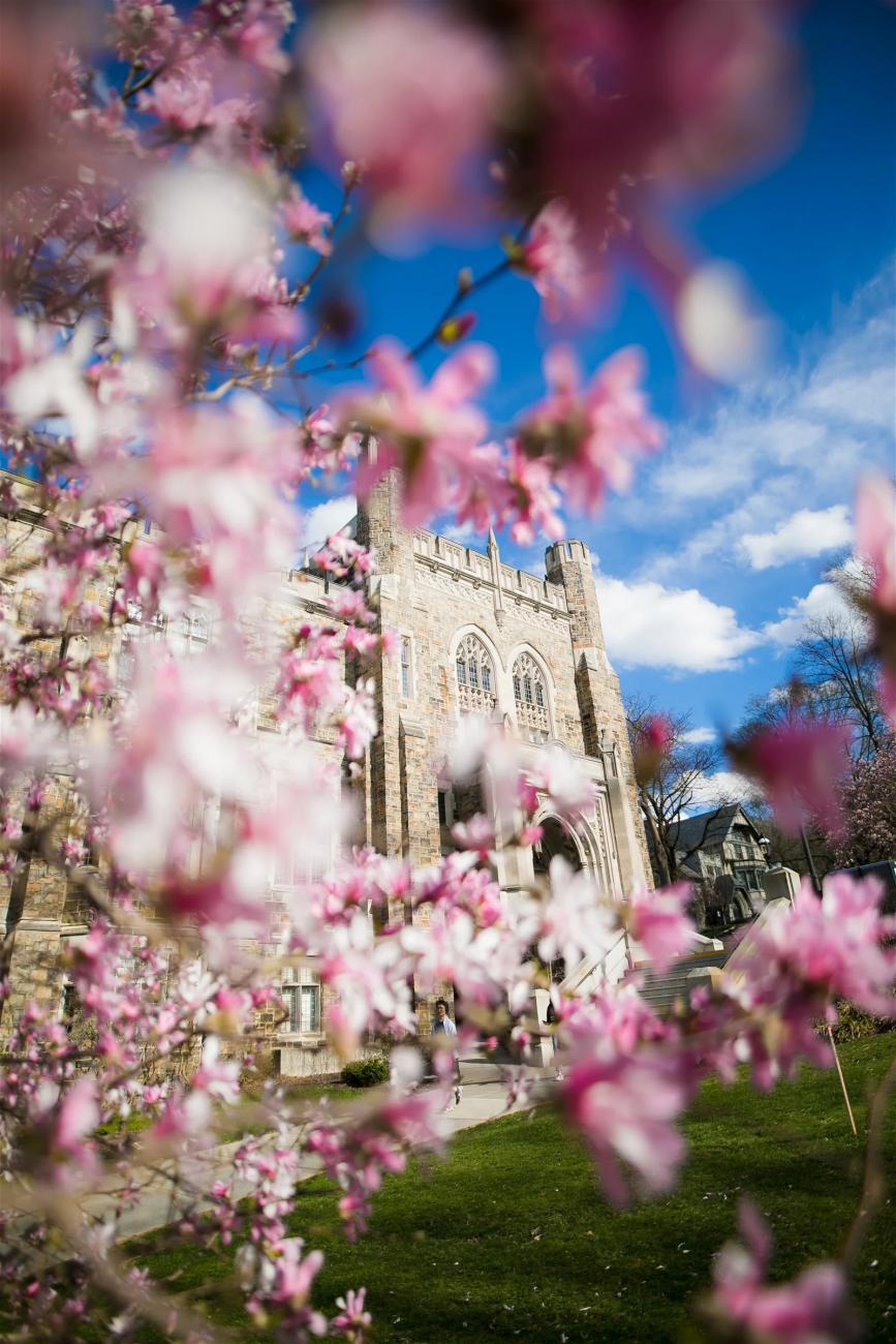 Lehigh University campus